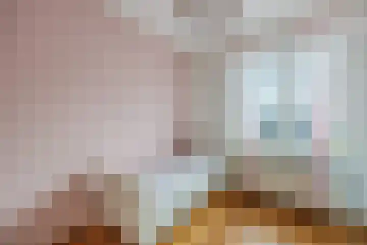 Kastanjelaan 78 Oosterhout thumbnail 38
