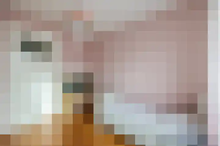 Kastanjelaan 78 Oosterhout thumbnail 39
