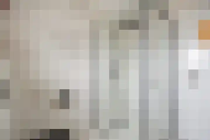 Kastanjelaan 78 Oosterhout thumbnail 41