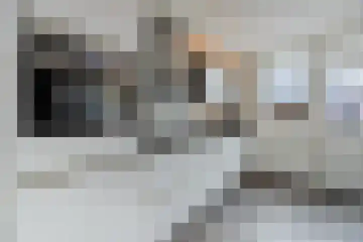 Kastanjelaan 78 Oosterhout thumbnail 5