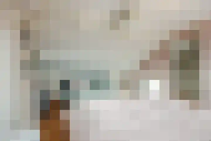 Kastanjelaan 78 Oosterhout thumbnail 50