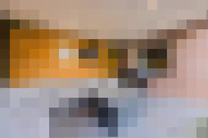 Kastanjelaan 78 Oosterhout thumbnail 56