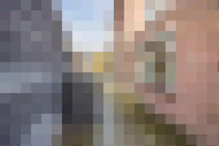 Kastanjelaan 78 Oosterhout thumbnail 58
