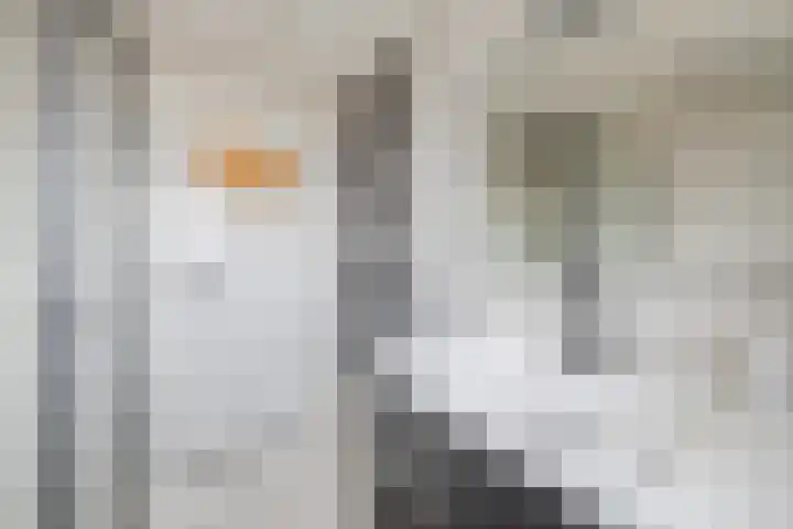 Kastanjelaan 78 Oosterhout thumbnail 6