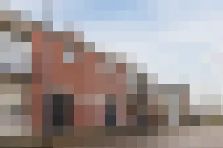 Kastanjelaan 78 Oosterhout thumbnail 62