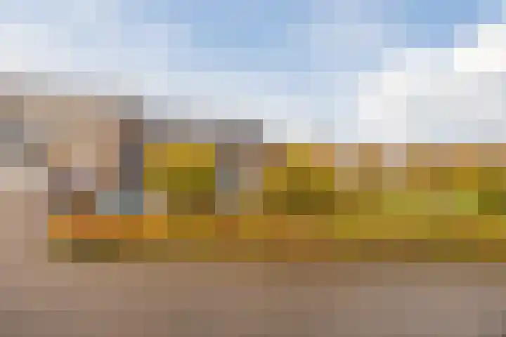 Kastanjelaan 78 Oosterhout thumbnail 63
