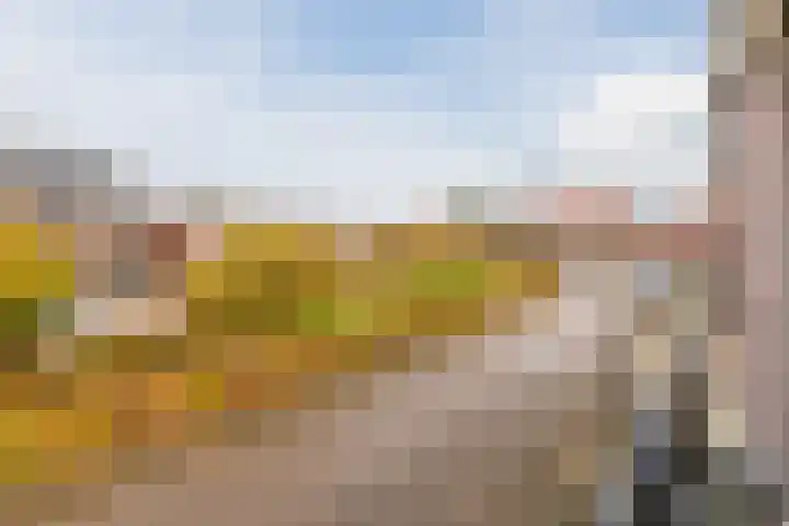 Kastanjelaan 78 Oosterhout thumbnail 64