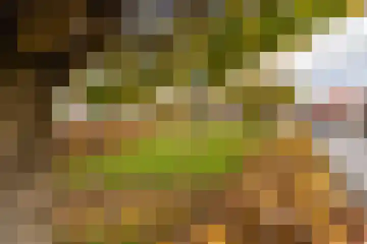Kastanjelaan 78 Oosterhout thumbnail 66
