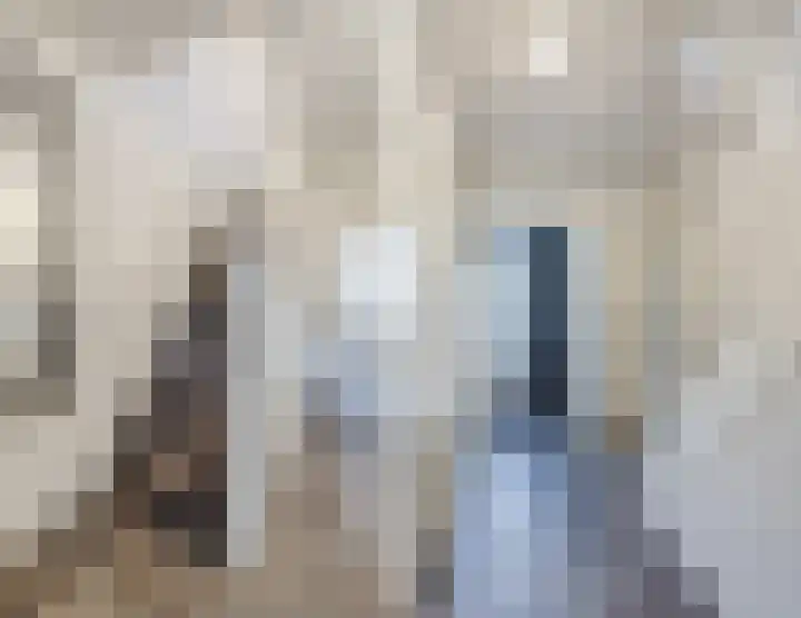 Kastanjelaan 78 Oosterhout thumbnail 8