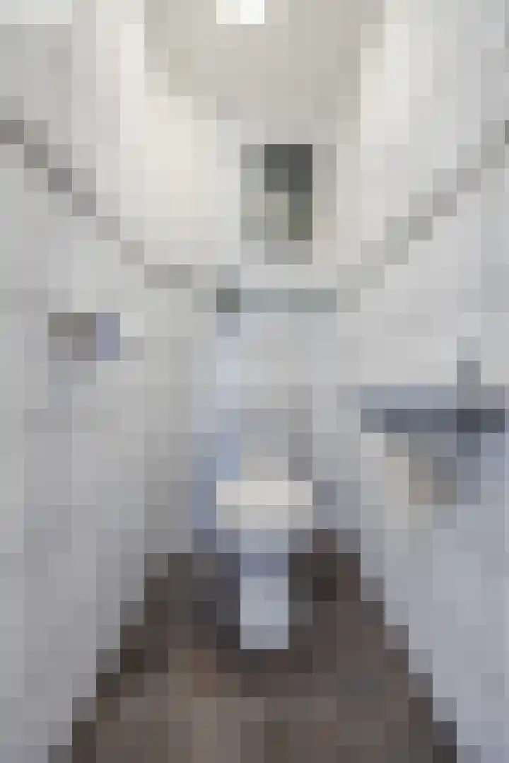 Kastanjelaan 78 Oosterhout thumbnail 9