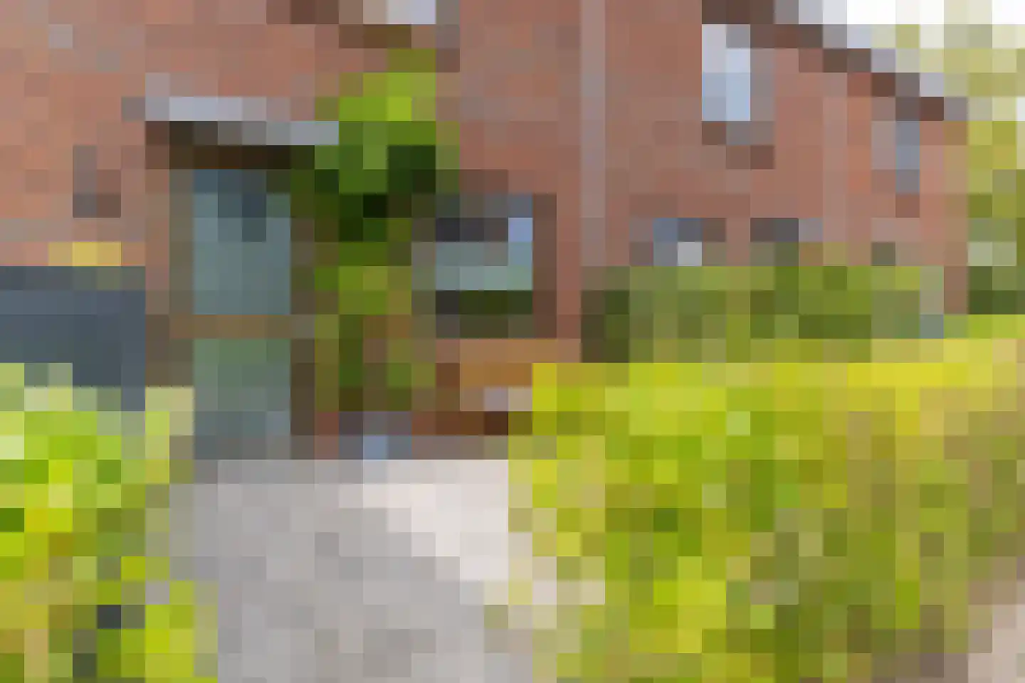Kastanjelaan 79 Weesp thumbnail 42