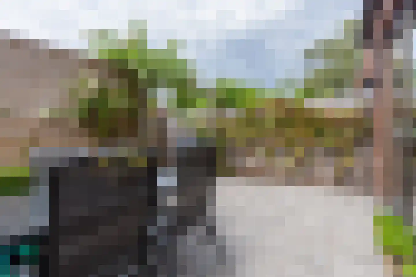 Kastanjelaan 79 Weesp thumbnail 45