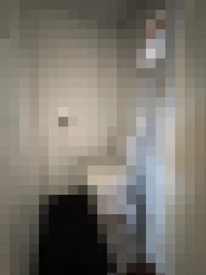 Kastanjelaan 79 Winschoten thumbnail 4
