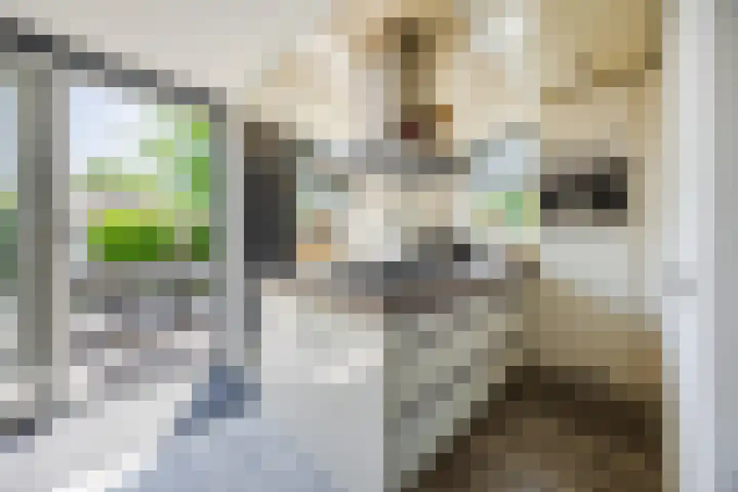 Kastanjelaan 79 Woudrichem thumbnail 10