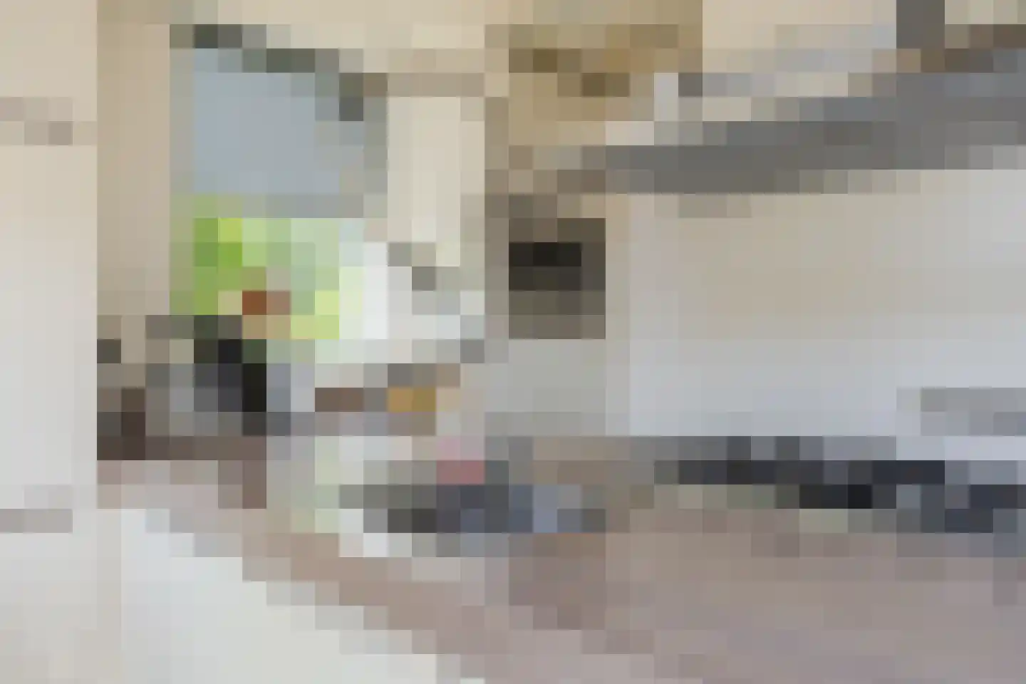 Kastanjelaan 79 Woudrichem thumbnail 11