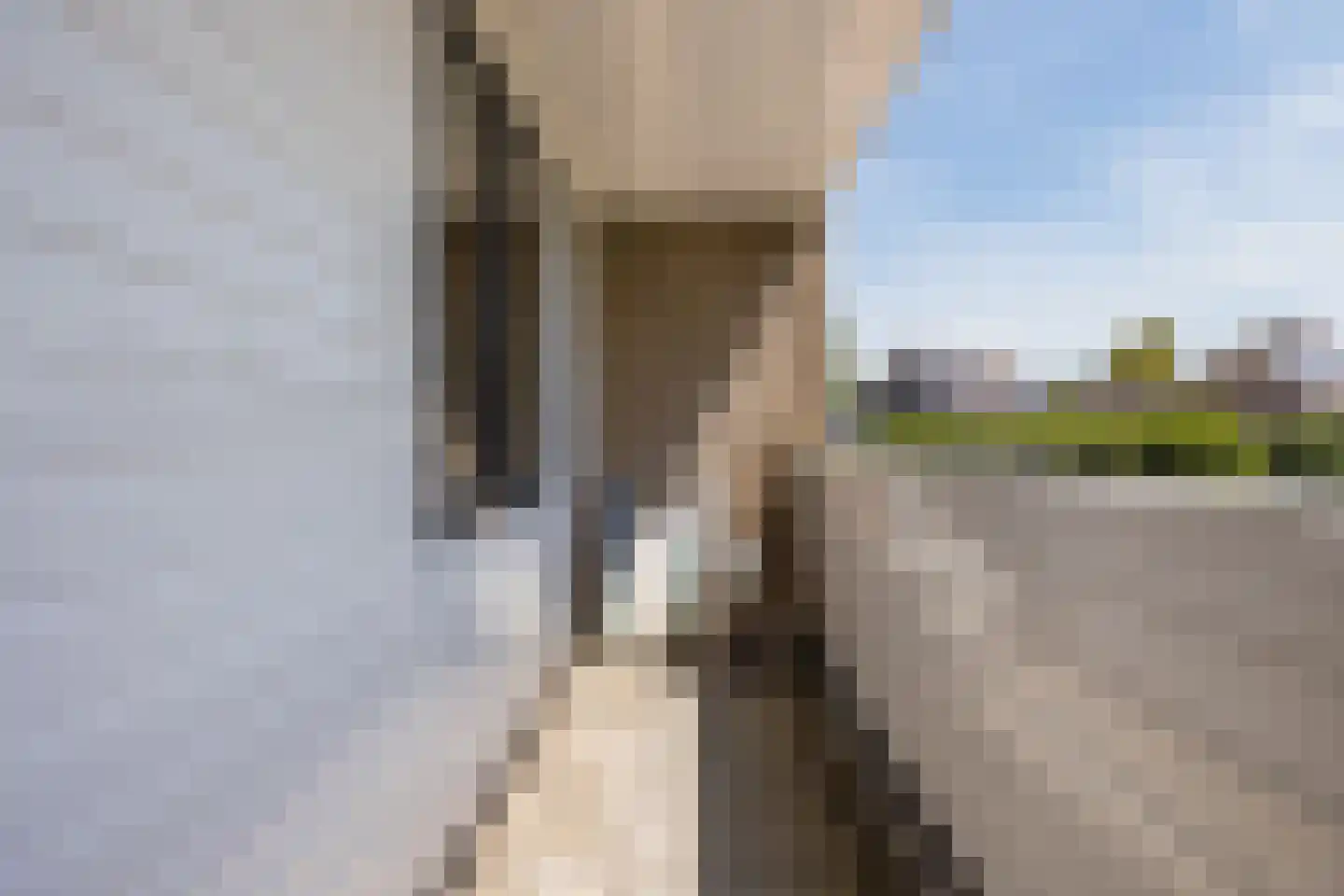 Kastanjelaan 79 Woudrichem thumbnail 19