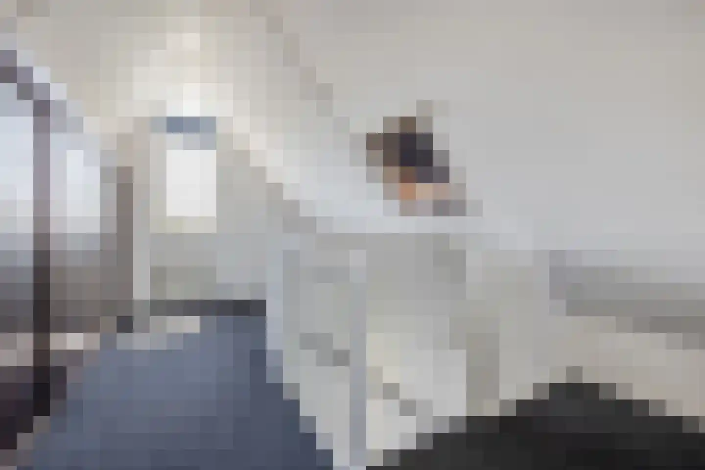 Kastanjelaan 79 Woudrichem thumbnail 24