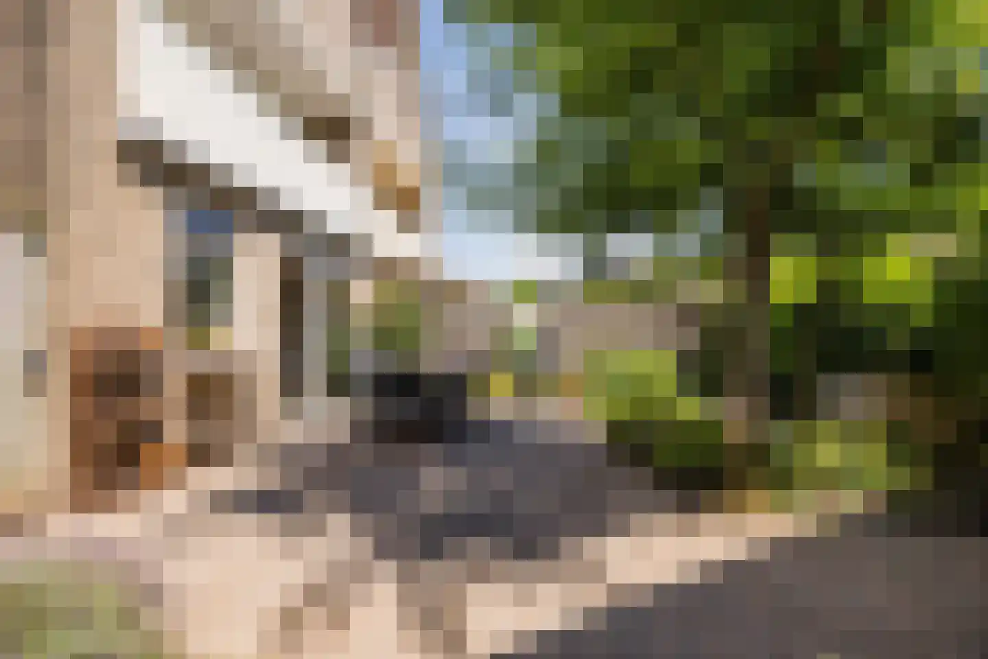 Kastanjelaan 79 Woudrichem thumbnail 30