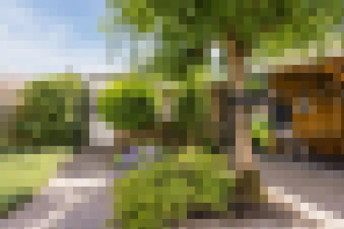 Kastanjelaan 79 Woudrichem thumbnail 33