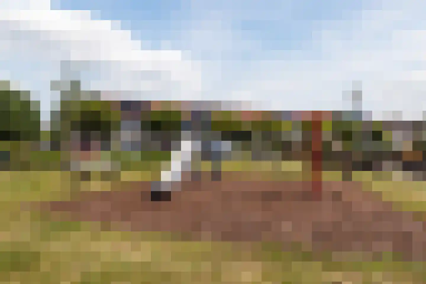 Kastanjelaan 79 Woudrichem thumbnail 37