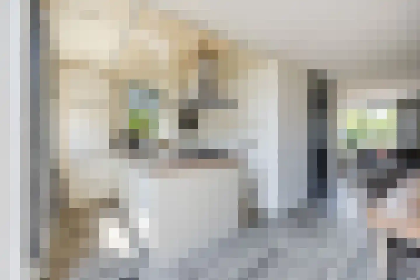 Kastanjelaan 79 Woudrichem thumbnail 9