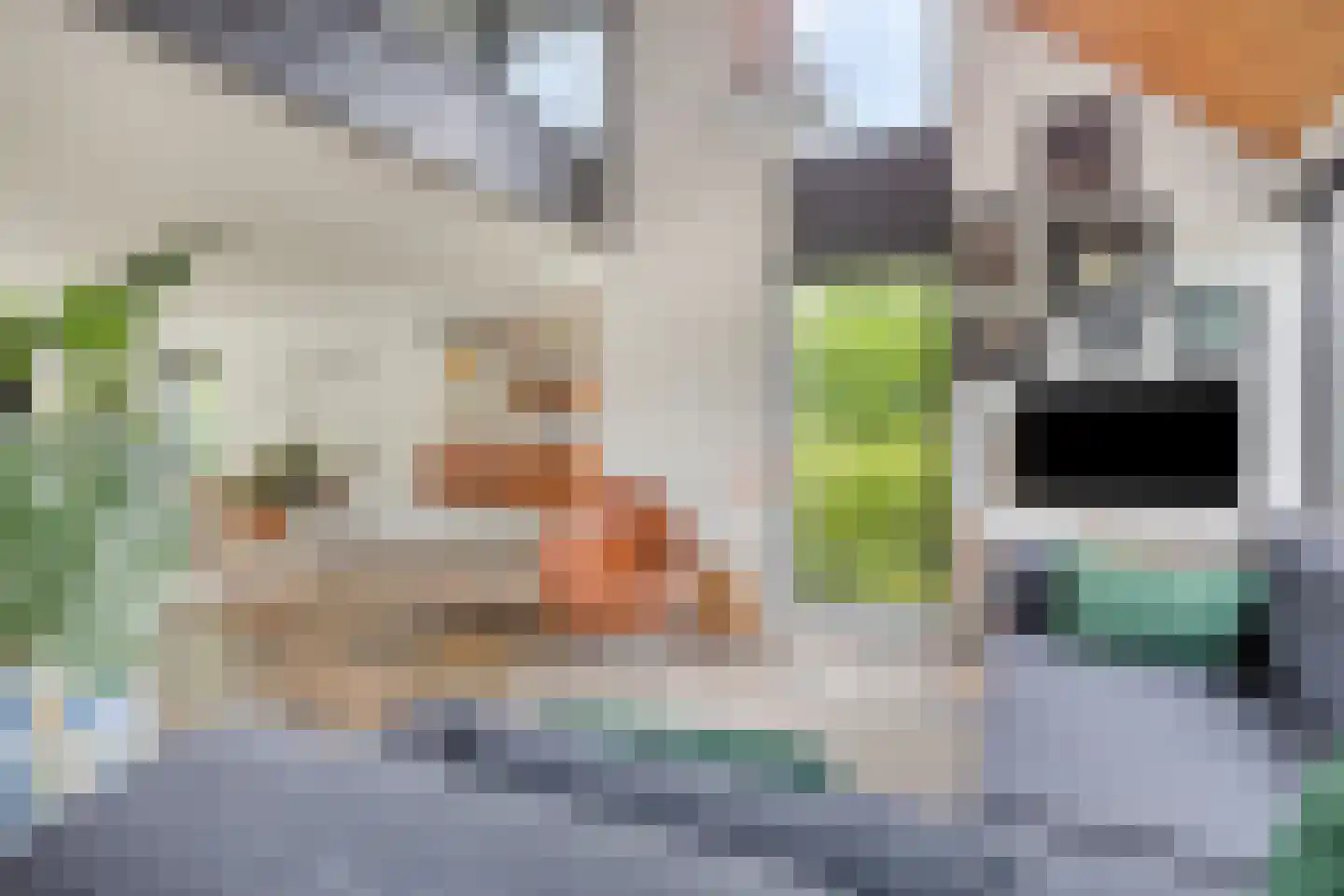Kastanjelaan 8 Kampen thumbnail 20