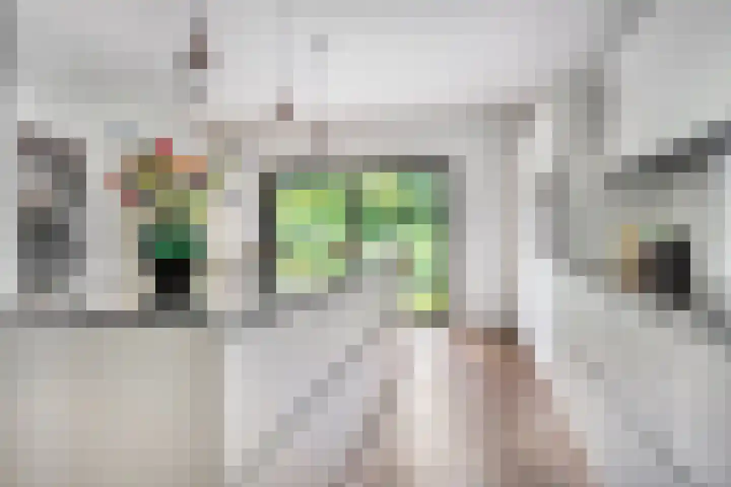 Kastanjelaan 8 Kampen thumbnail 30
