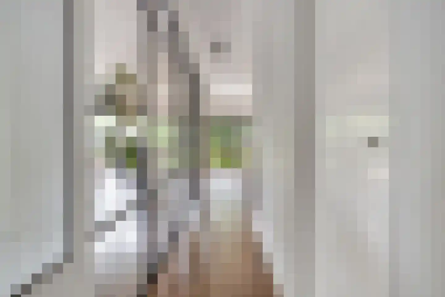 Kastanjelaan 8 Kampen thumbnail 34