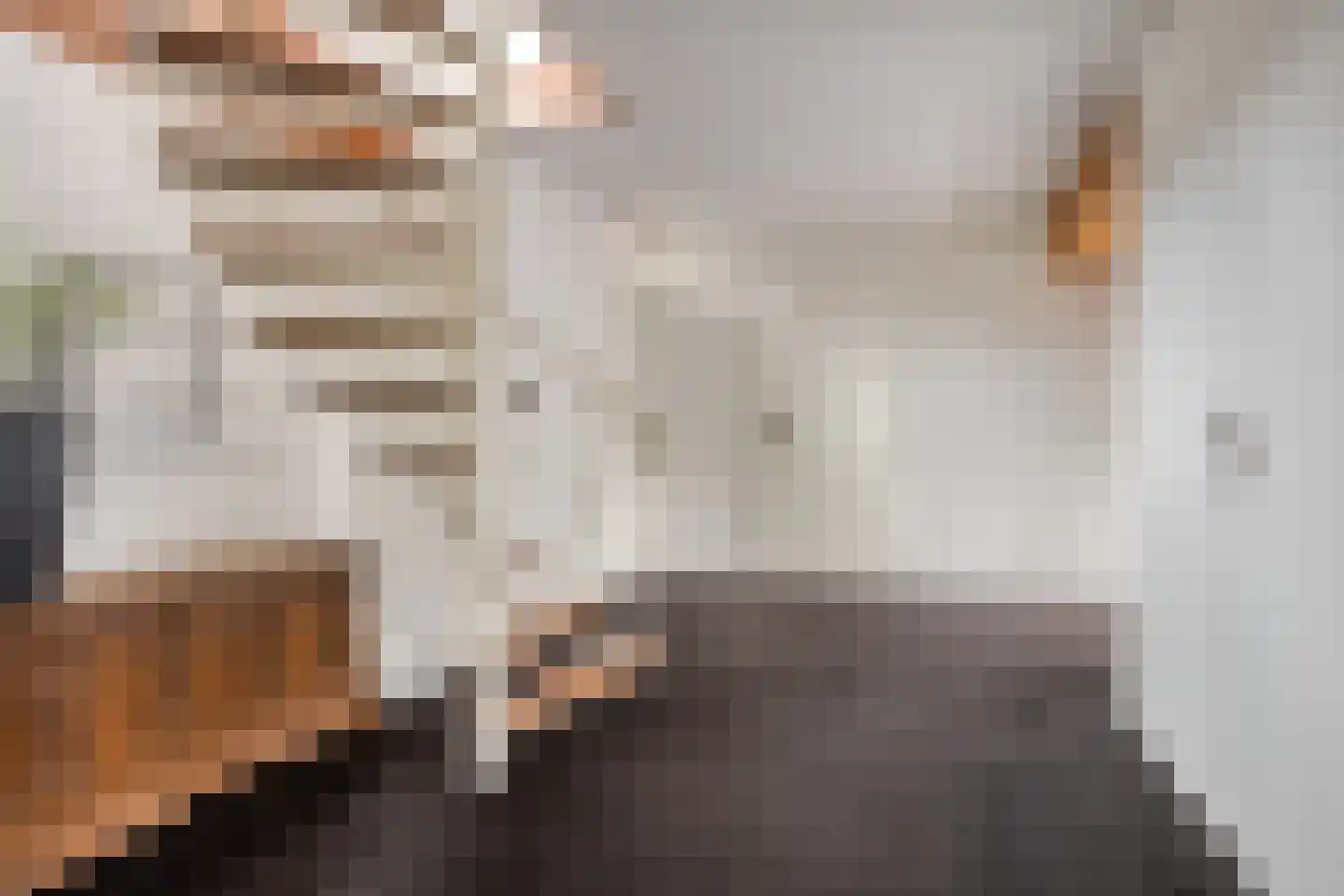Kastanjelaan 8 Kampen thumbnail 42