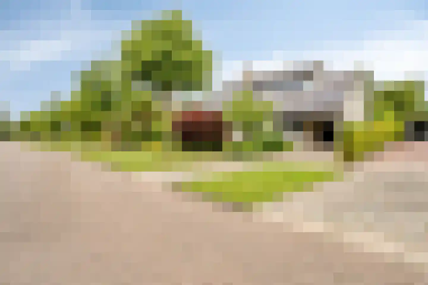 Kastanjelaan 8 Kampen thumbnail 6
