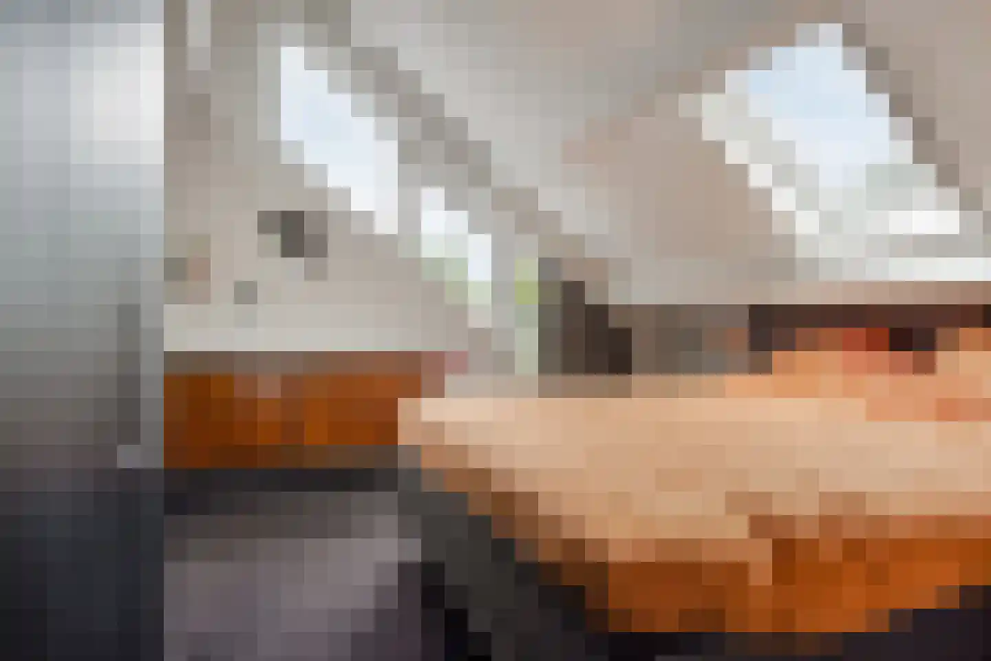 Kastanjelaan 8 Kampen thumbnail 61