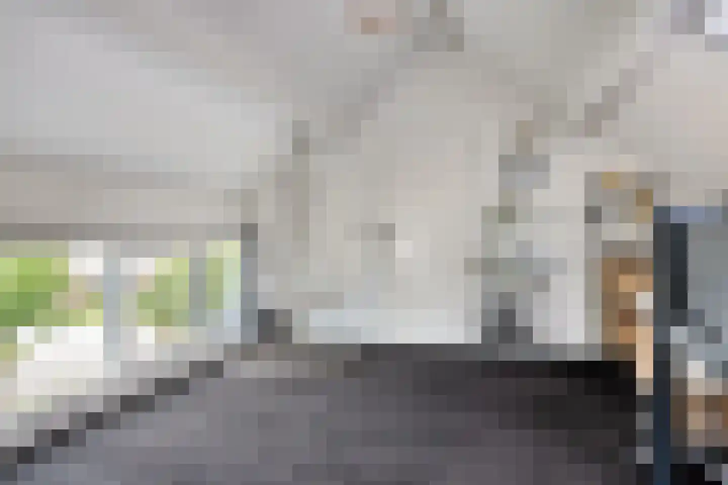 Kastanjelaan 8 Kampen thumbnail 66