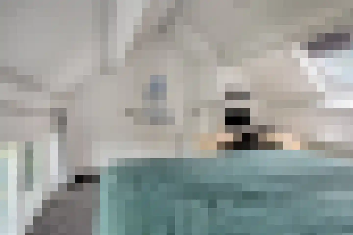 Kastanjelaan 8 Kampen thumbnail 68