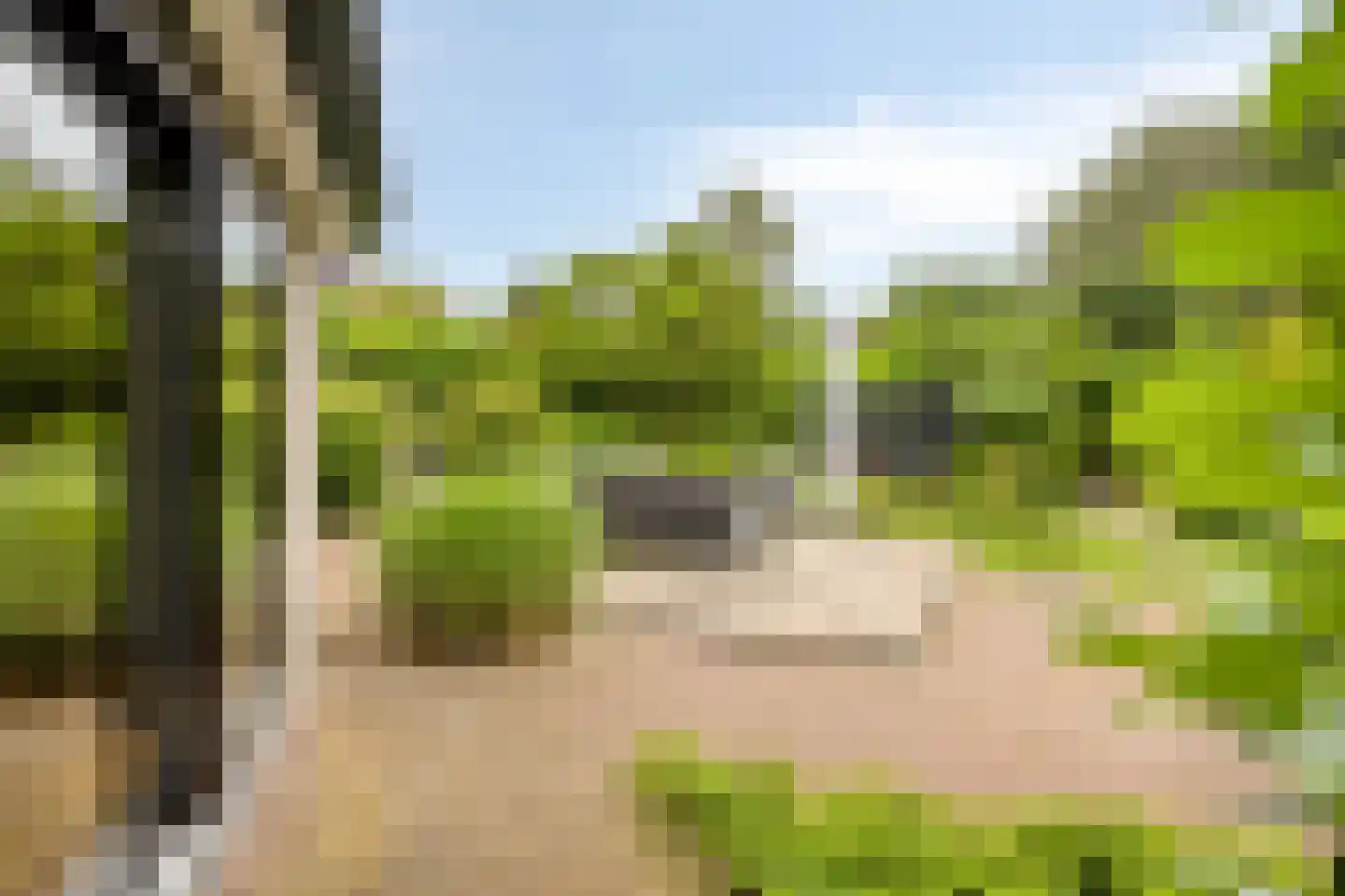 Kastanjelaan 8 Kampen thumbnail 69