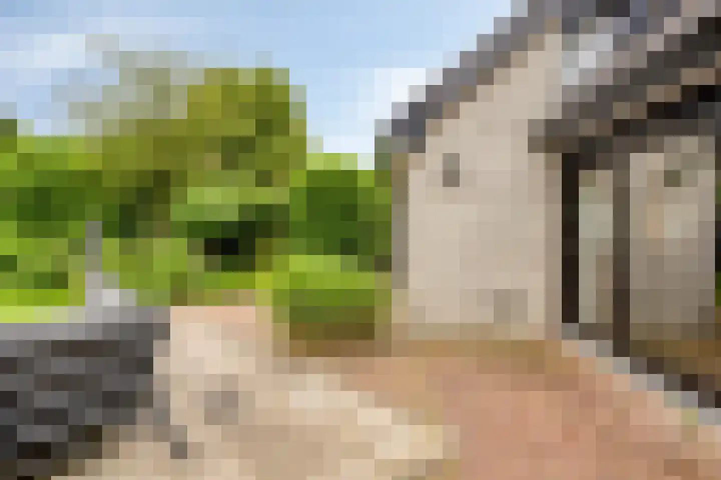 Kastanjelaan 8 Kampen thumbnail 70