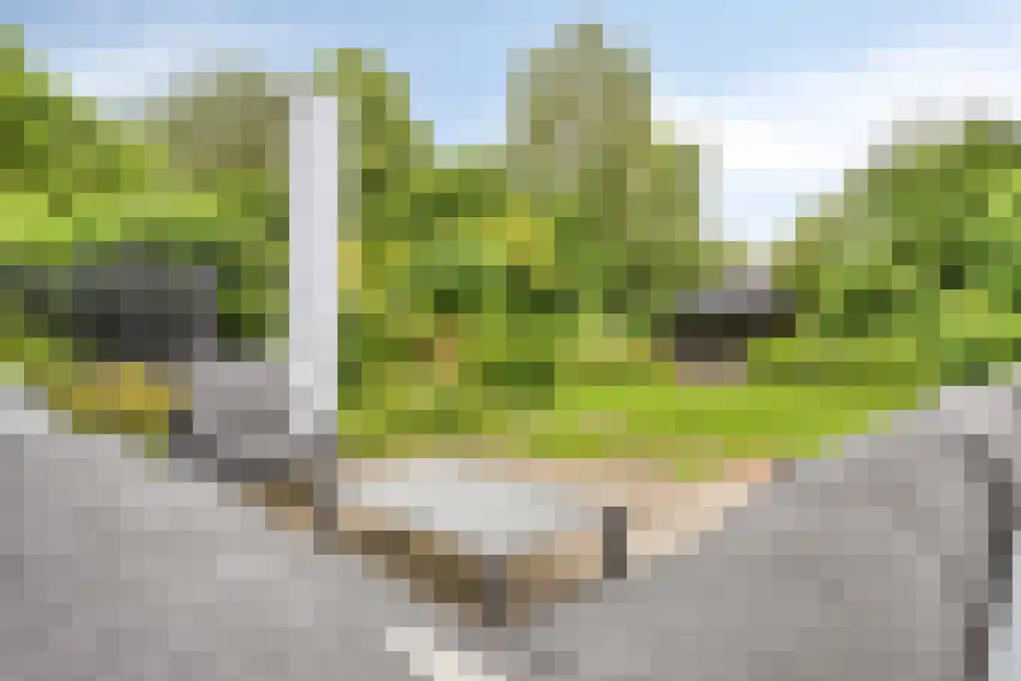 Kastanjelaan 8 Kampen thumbnail 71
