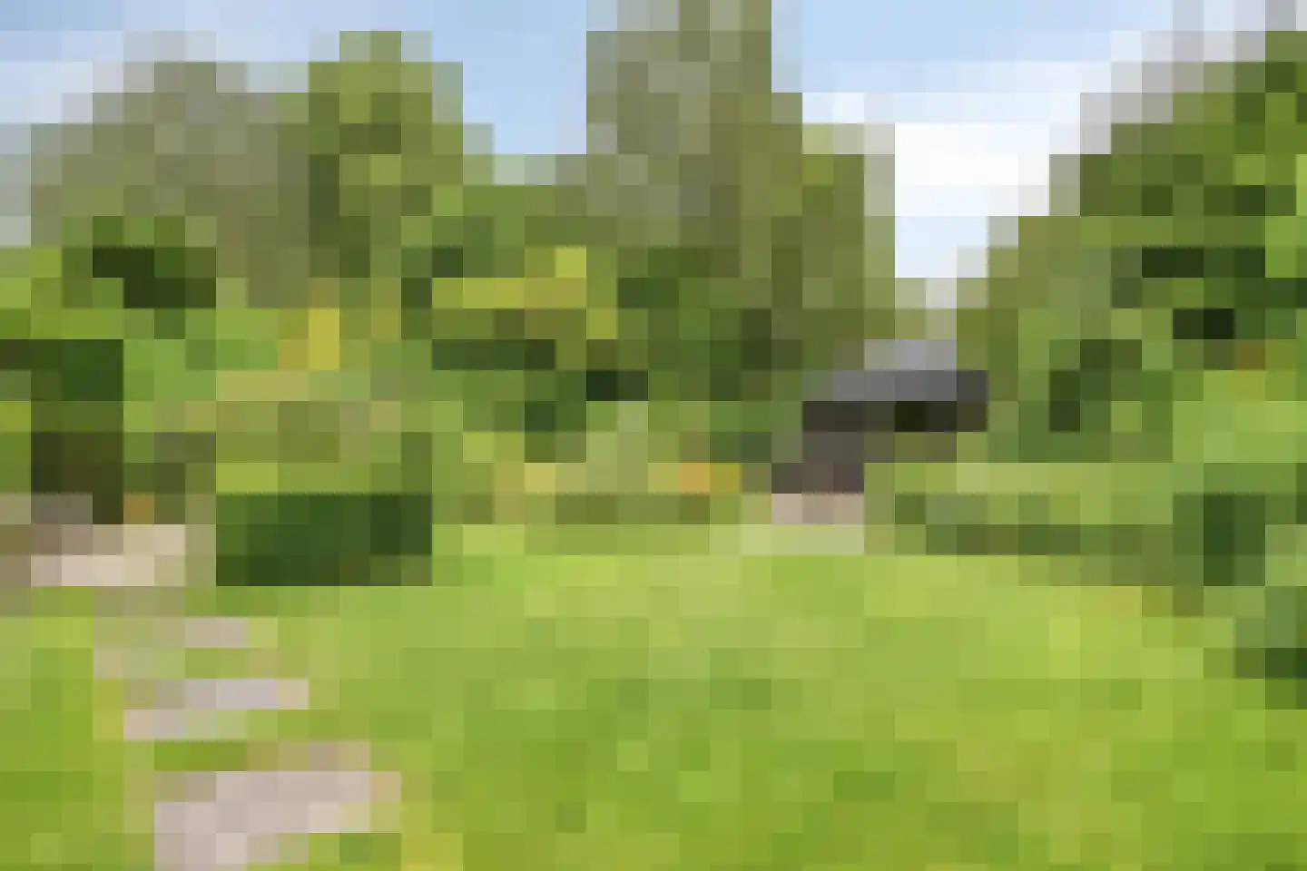 Kastanjelaan 8 Kampen thumbnail 72