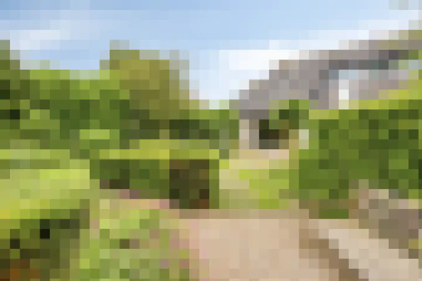 Kastanjelaan 8 Kampen thumbnail 73