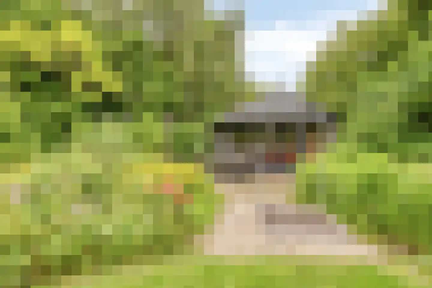 Kastanjelaan 8 Kampen thumbnail 74