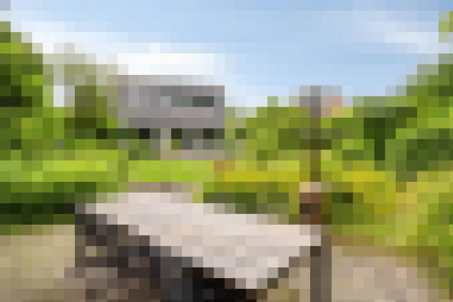 Kastanjelaan 8 Kampen thumbnail 75