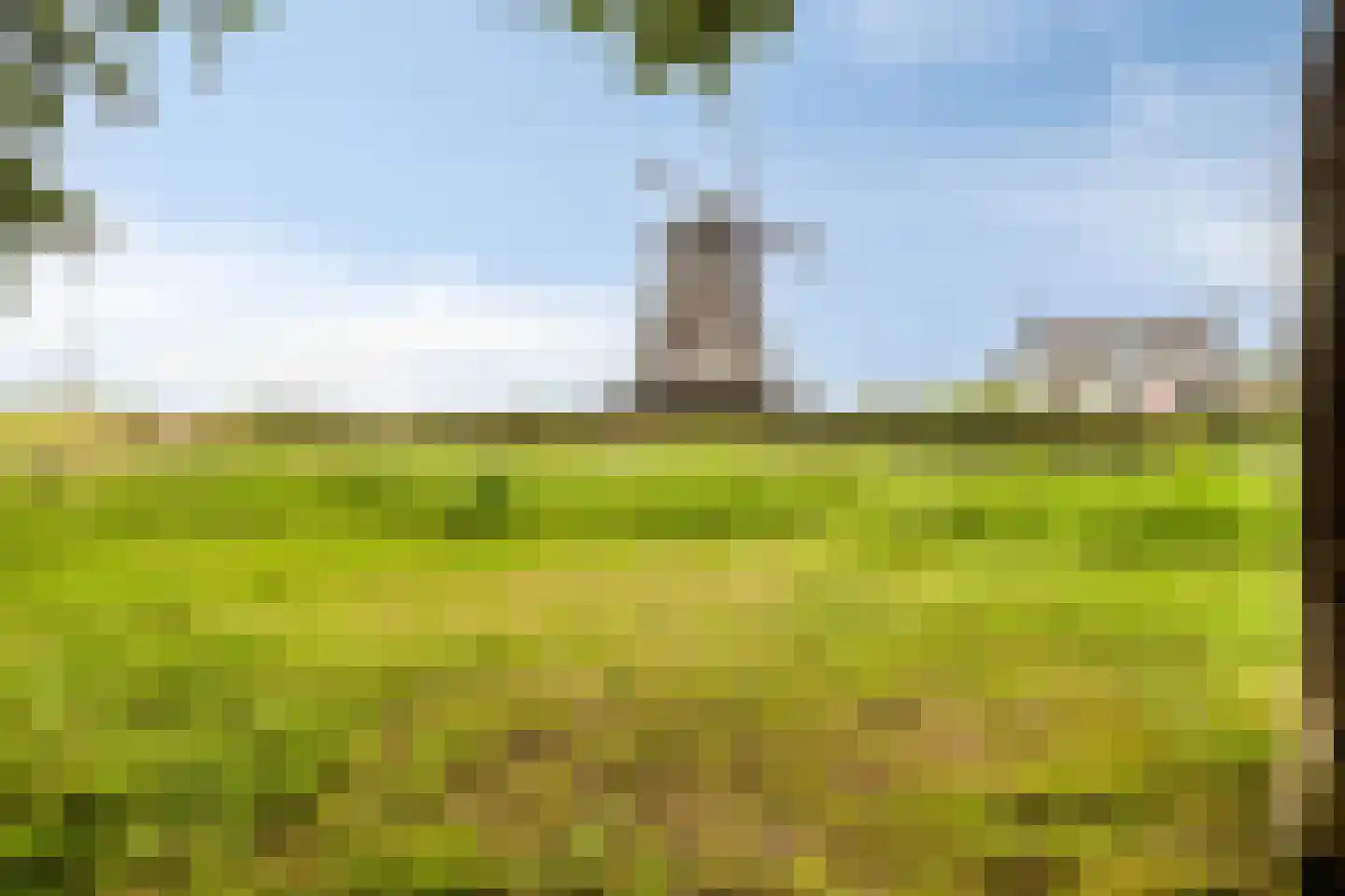 Kastanjelaan 8 Kampen thumbnail 78