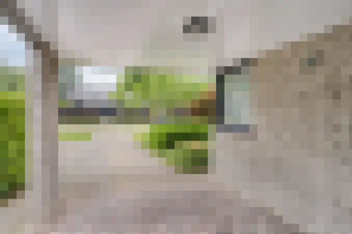 Kastanjelaan 8 Kampen thumbnail 9