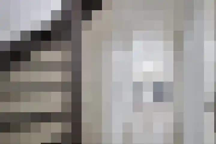 Kastanjelaan 8 Rozenburg thumbnail 17