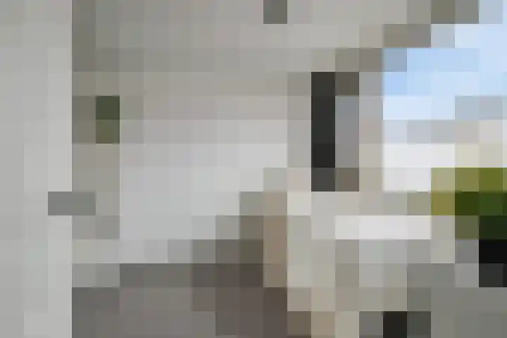 Kastanjelaan 8 Rozenburg thumbnail 18