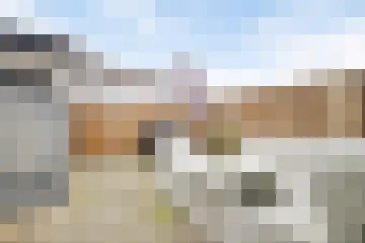 Kastanjelaan 8 Rozenburg thumbnail 29