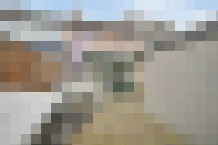 Kastanjelaan 8 Rozenburg thumbnail 4