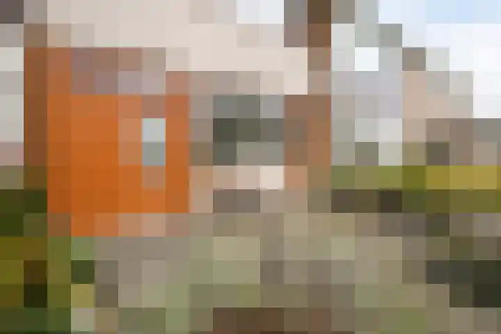 Kastanjelaan 8 Rozenburg thumbnail 6