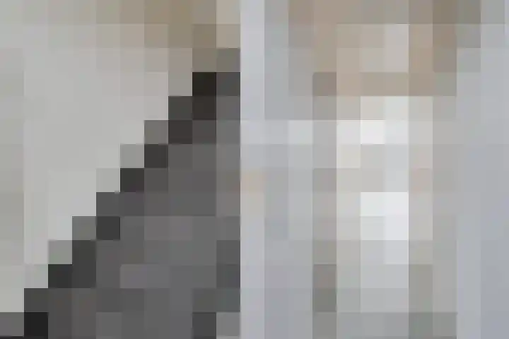 Kastanjelaan 8 Rozenburg thumbnail 8