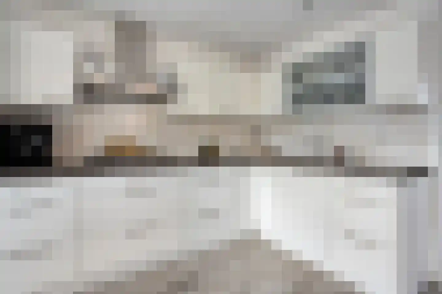 Kastanjelaan 80 Oosterhout thumbnail 11