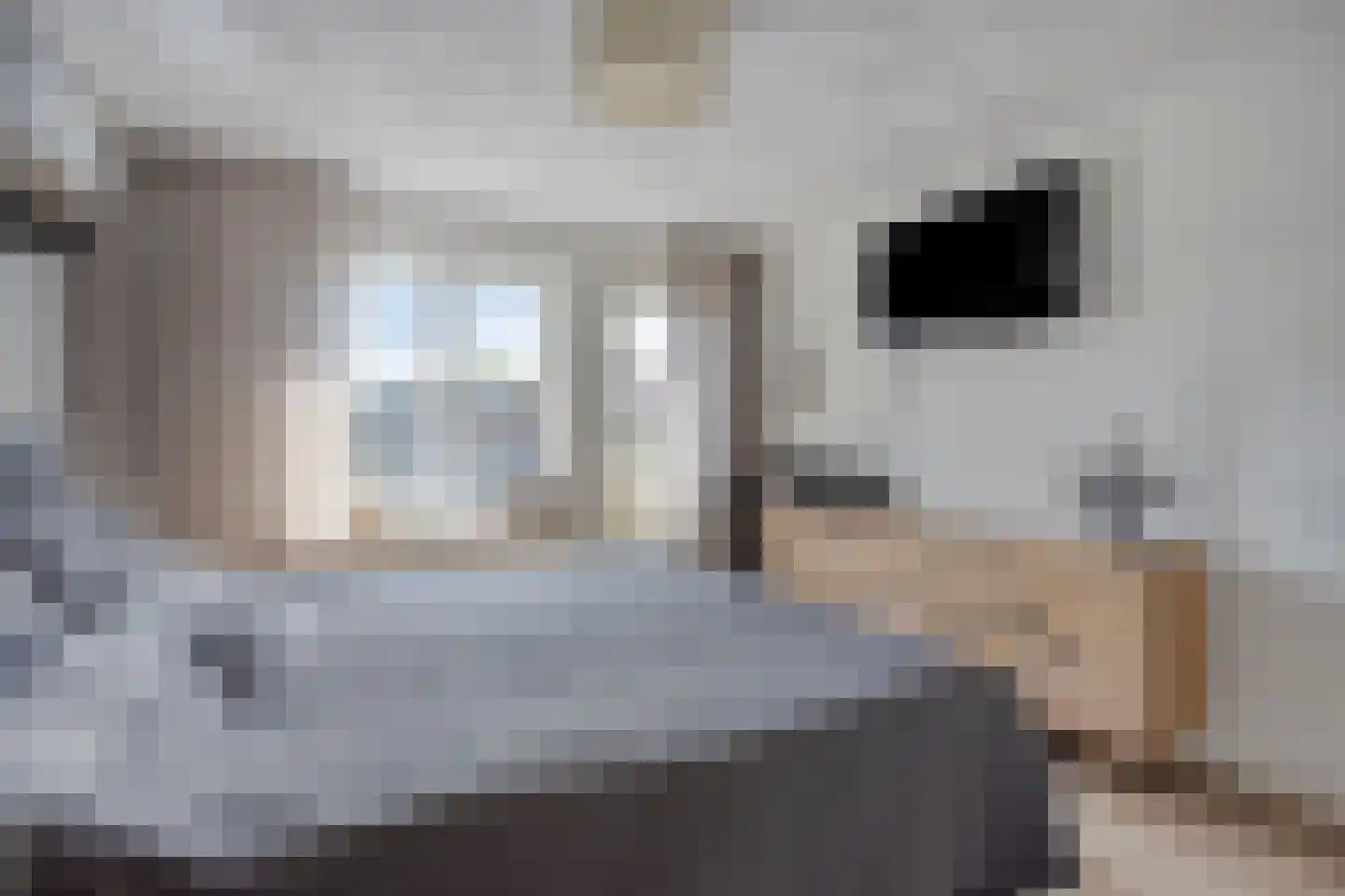 Kastanjelaan 80 Oosterhout thumbnail 13